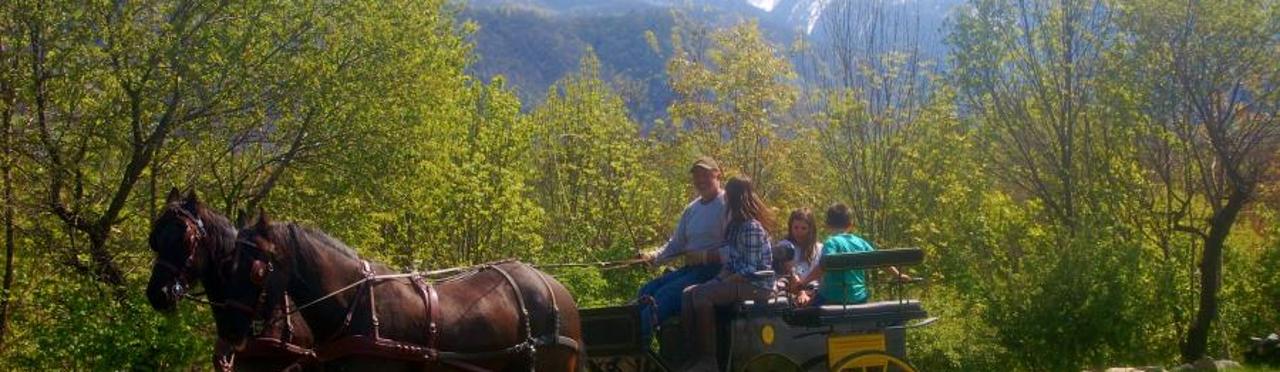 Gita in carrozza immersi nella natura